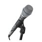 Shure Beta 87A hind ja info | Mikrofonid | hansapost.ee