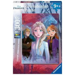 Ravensburger: XXL 300EL puzzle. - jäämaa 2 цена и информация | Пазлы | hansapost.ee