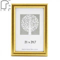 Pildiraam Aura 21x30 cm цена и информация | Фоторамка | hansapost.ee