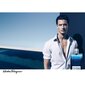 Salvatore Ferragamo Acqua Blu essenziale Pour Homme EDT 50ml hind ja info | Parfüümid meestele | hansapost.ee