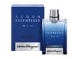 Salvatore Ferragamo Acqua Blu essenziale Pour Homme EDT 50ml hind ja info | Parfüümid meestele | hansapost.ee