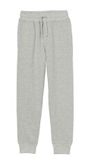 Texpak спортивные штаны для мальчиков, серый  907168131 цена и информация | Штаны для мальчиков | hansapost.ee
