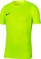 Poiste T-särk Nike Dry Park VII Jr BV6741702, roheline hind ja info | Särgid poistele | hansapost.ee
