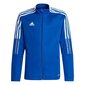 Pusa poistele Adidas Tiro 21 Track Jr GM7315, sinine hind ja info | Kampsunid, vestid ja jakid poistele | hansapost.ee