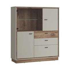 Showcase RIVERO 124x40xH143cm, oak/grey цена и информация | Витрины, серванты | hansapost.ee