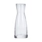 Klaaspudel Bormioli Rocco Ypsilon (0,25 L) hind ja info | Klaasid, kruusid ja kannud | hansapost.ee