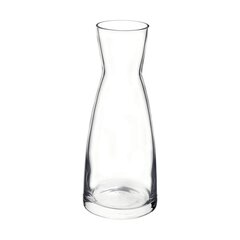 Стеклянная бутылка Bormioli Rocco Ypsilon (0,25 л) цена и информация | Bormioli Rocco Кухонные товары, товары для домашнего хозяйства | hansapost.ee
