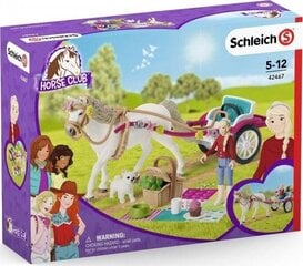 Фигурка Schleich Выставка лошадей цена и информация | Игрушки для девочек | hansapost.ee