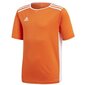 Poiste spordisärk Adidas Entrada 18 JSY Y Jr CF1043, 70053, oranž hind ja info | Särgid poistele | hansapost.ee