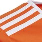 Poiste spordisärk Adidas Entrada 18 JSY Y Jr CF1043, 70053, oranž цена и информация | Särgid poistele | hansapost.ee