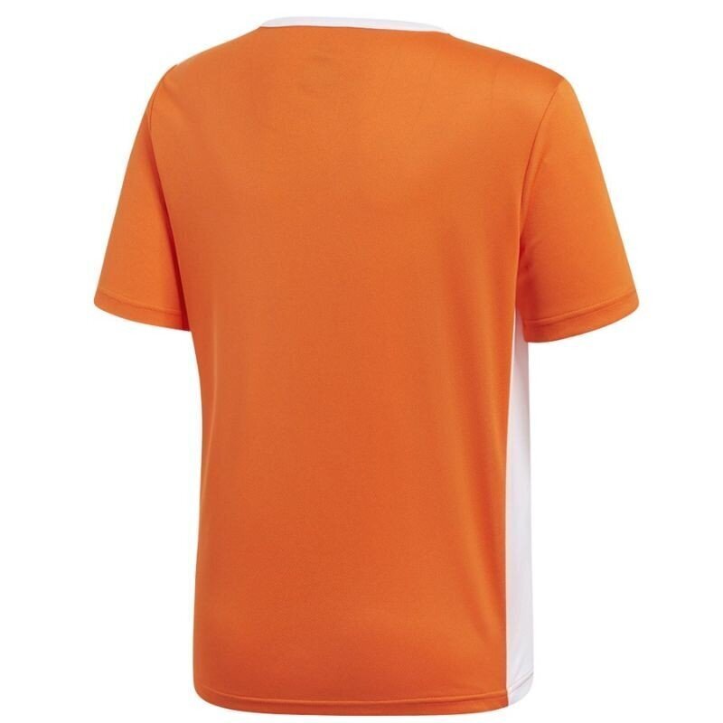 Poiste spordisärk Adidas Entrada 18 JSY Y Jr CF1043, 70053, oranž hind ja info | Särgid poistele | hansapost.ee