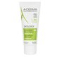 A-Derma A Derma Biology Rich Moisturising Cream 40ml hind ja info | Näokreemid | hansapost.ee