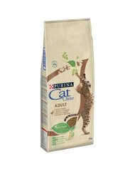 Purina kuivtoit Cat Chow Adult koos pardiga, 15 kg hind ja info | Purina Lemmikloomatarbed | hansapost.ee