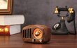 Feegar RETRO FM köögiraadio Puidust BT SD 10h цена и информация | Raadiod ja äratuskellad | hansapost.ee