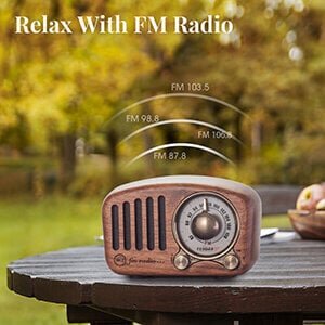 Feegar RETRO FM köögiraadio Puidust BT SD 10h цена и информация | Raadiod ja äratuskellad | hansapost.ee