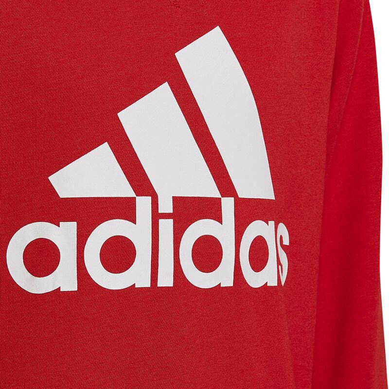 Poiste dressipluus Adidas Big Logo Swt Jr HN1911 цена и информация | Kampsunid, vestid ja jakid poistele | hansapost.ee