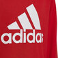 Poiste dressipluus Adidas Big Logo Swt Jr HN1911 цена и информация | Kampsunid, vestid ja jakid poistele | hansapost.ee