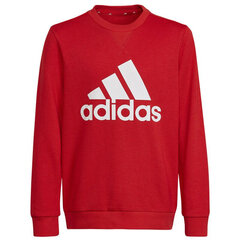 Poiste dressipluus Adidas Big Logo Swt Jr HN1911 hind ja info | Adidas Riided, jalanõud lastele ja beebidele | hansapost.ee