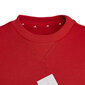 Poiste dressipluus Adidas Big Logo Swt Jr HN1911 hind ja info | Kampsunid, vestid ja jakid poistele | hansapost.ee