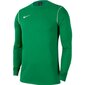 Meeste pluus Nike Park 20 Crew Top M BV6875 302, roheline цена и информация | Spordiriided meestele | hansapost.ee