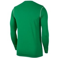 Футболка для мальчиков Nike Y Dry Park 20 Crew Jr BV6901 302, зеленая цена и информация | Рубашки для мальчиков | hansapost.ee