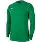 Poiste T-särk Nike Y Dry Park 20 Crew Jr BV6901 302, roheline цена и информация | Särgid poistele | hansapost.ee