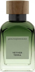 Adolfo Dominguez Vetiver Terra Eau De Perfume Spray 120ml hind ja info | Parfüümid meestele | hansapost.ee