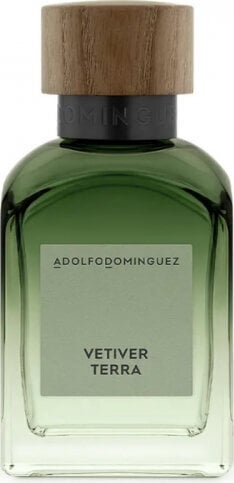 Adolfo Dominguez Vetiver Terra Eau De Perfume Spray 120ml hind ja info | Parfüümid meestele | hansapost.ee