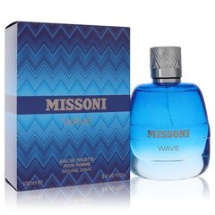 Meeste parfüüm Missioni wave Missoni EDT (100 ml) (100 ml) hind ja info | Parfüümid meestele | hansapost.ee