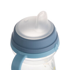 Pudel Canpol Bonjour Paris 56/61, 6 kuud+, 150ml, sinine price and information | Baby bottles and accessories | hansapost.ee