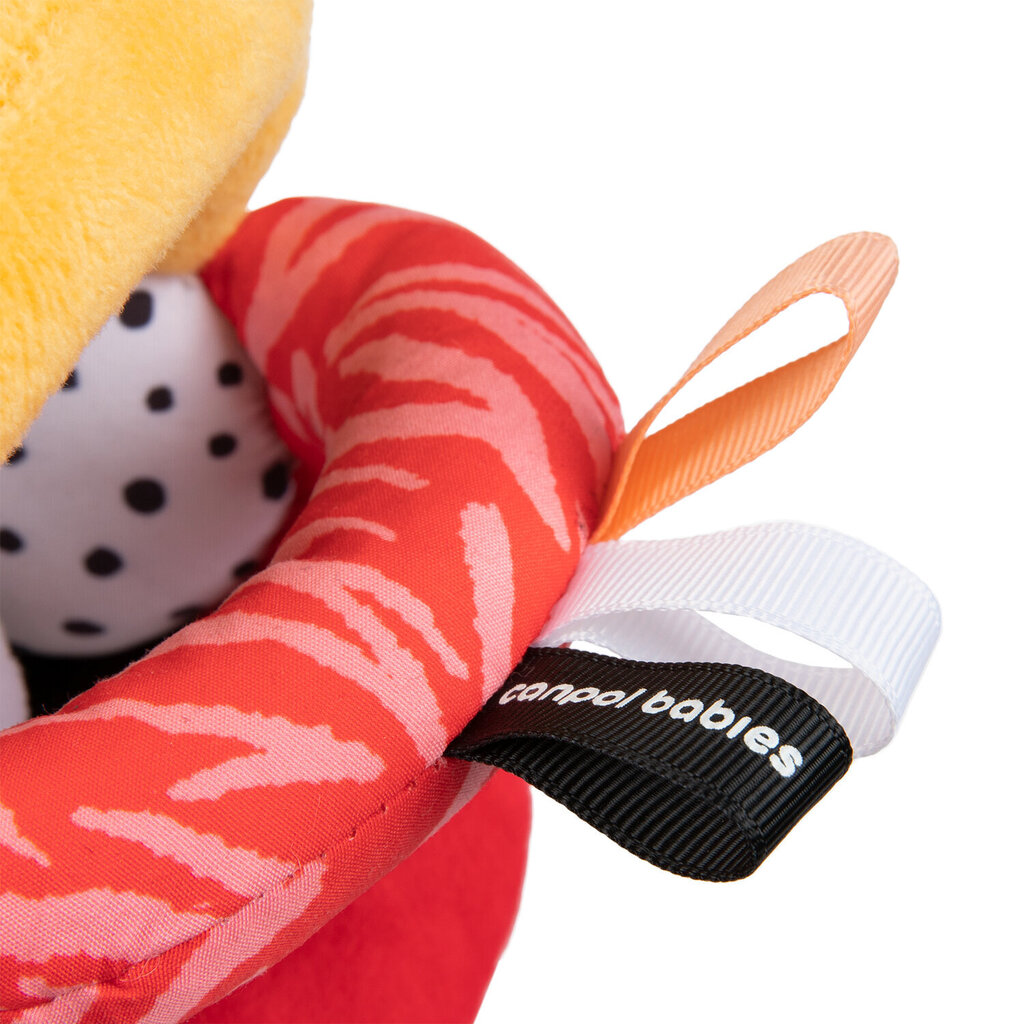 Pallikõristi Canpol BabiesBoo 68/089 цена и информация | Beebide mänguasjad | hansapost.ee
