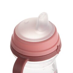 Бутылочка для питья с носиком Canpol Babies Bonjour Paris 56/613, от 6 месяцев, 250мл цена и информация | Бутылочки и аксессуары | hansapost.ee