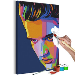 Картина по номерам Colourful Elvis 40х60 см цена и информация | Живопись по номерам | hansapost.ee