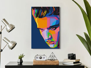 Картина по номерам Colourful Elvis 40х60 см цена и информация | Живопись по номерам | hansapost.ee