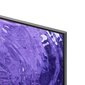 Samsung QE65QN90CATXXH цена и информация | Televiisorid | hansapost.ee