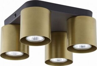Потолочный светильник Vico цена и информация | Потолочные светильники | hansapost.ee