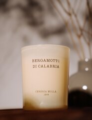 Ароматическая кремовая свеча Cereria Mollá «Bergamotto di Calabria», 230 г цена и информация | Свечи, подсвечники | hansapost.ee