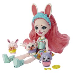 кукла enchantimals с аксессуарами цена и информация | Игрушки для девочек | hansapost.ee