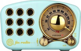 Радиоприемник Radio Feegar RETRO FM кухонное радио Bluetooth 3,5 мм AUX SD 10h цена и информация | Радиоприемники и будильники | hansapost.ee