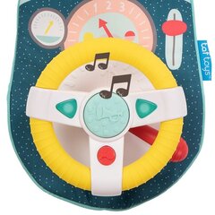 Muusikaline mänguasi autosse Taf Toys hind ja info | Taf Toys Lastekaubad ja beebikaubad | hansapost.ee
