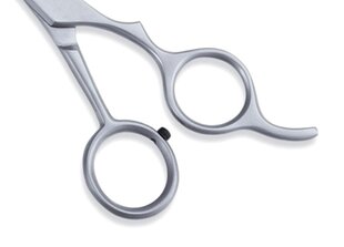 Филировочные ножницы цена и информация | Расчески, щетки для волос, ножницы | hansapost.ee