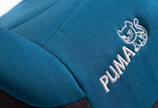 Turvaiste Caretero Puma Isofix, Green hind ja info | Turvatoolid ja turvahällid | hansapost.ee