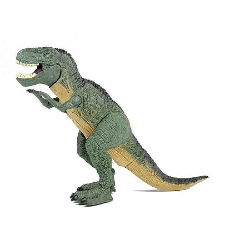 Big Dinosaur Tyranosaurus Rex Battery Powered Walking hind ja info | Mänguasjad poistele | hansapost.ee