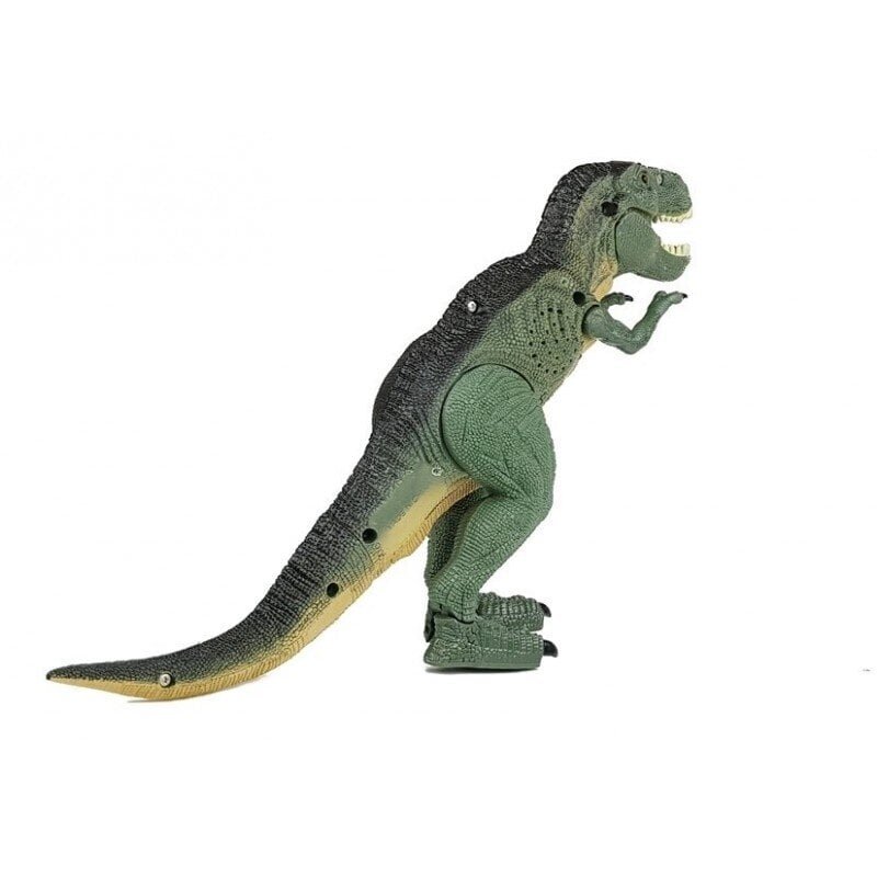 Big Dinosaur Tyranosaurus Rex Battery Powered Walking hind ja info | Mänguasjad poistele | hansapost.ee