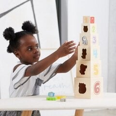Деревянная пирамида VIGA цена и информация | Развивающие игрушки для детей | hansapost.ee
