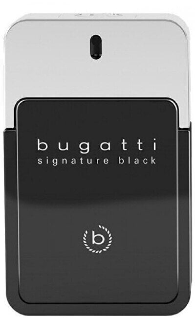 Tualettvesi Bugatti Signature Black, 100 ml цена и информация | Parfüümid meestele | hansapost.ee