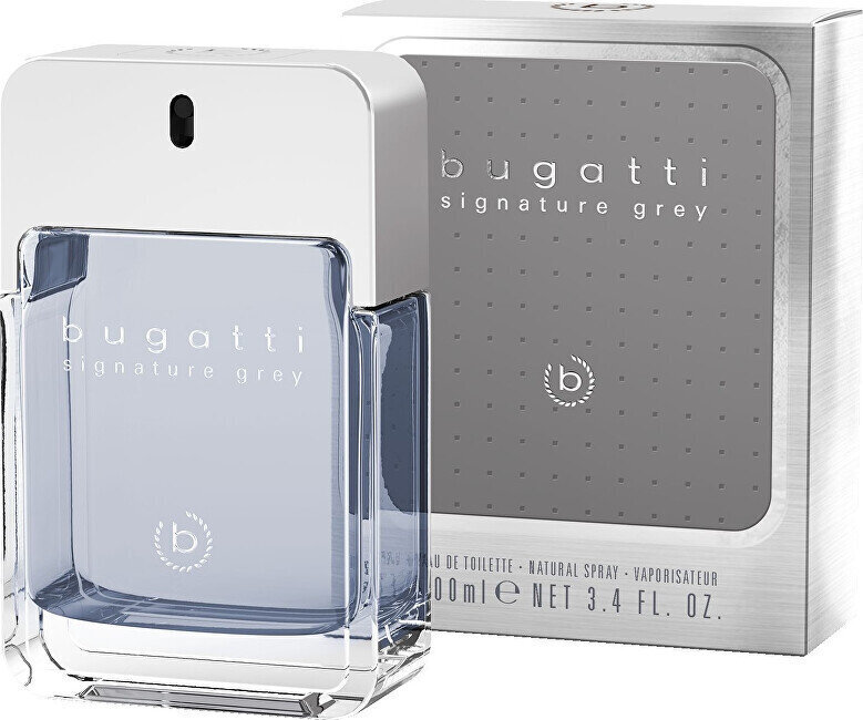 Tualettvesi Bugatti Signature Grey, 100 ml цена и информация | Parfüümid meestele | hansapost.ee