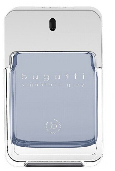 Tualettvesi Bugatti Signature Grey, 100 ml hind ja info | Parfüümid meestele | hansapost.ee