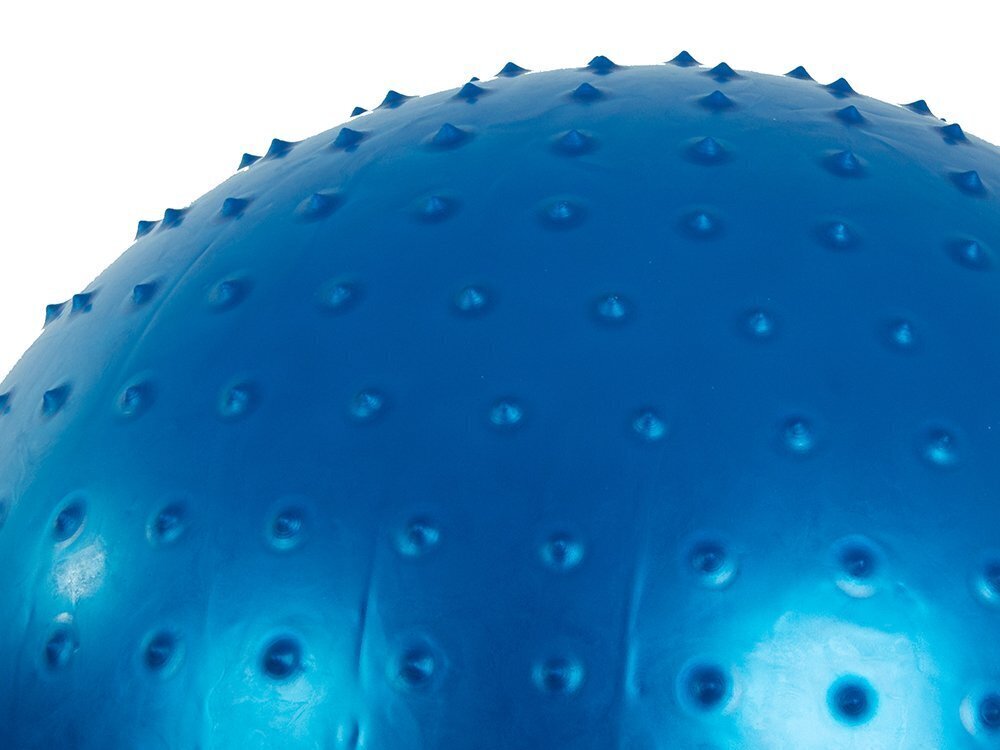 Võimlemispall, 55 cm, sinine hind ja info | Võimlemispallid | hansapost.ee