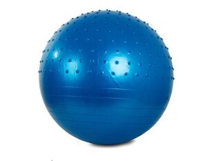 Мяч для гимнастики, 55 см, синий цена и информация | Гимнастические мячи | hansapost.ee